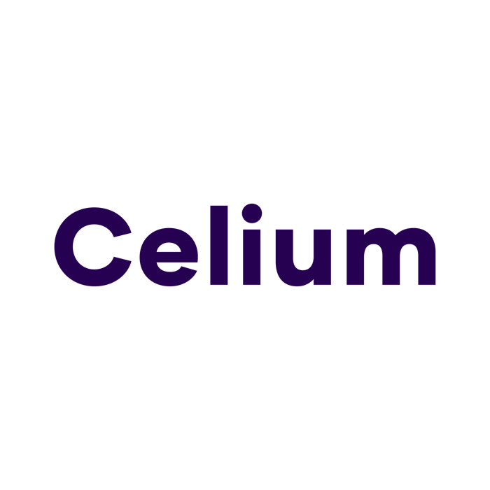 Celium Recruitment Ltd